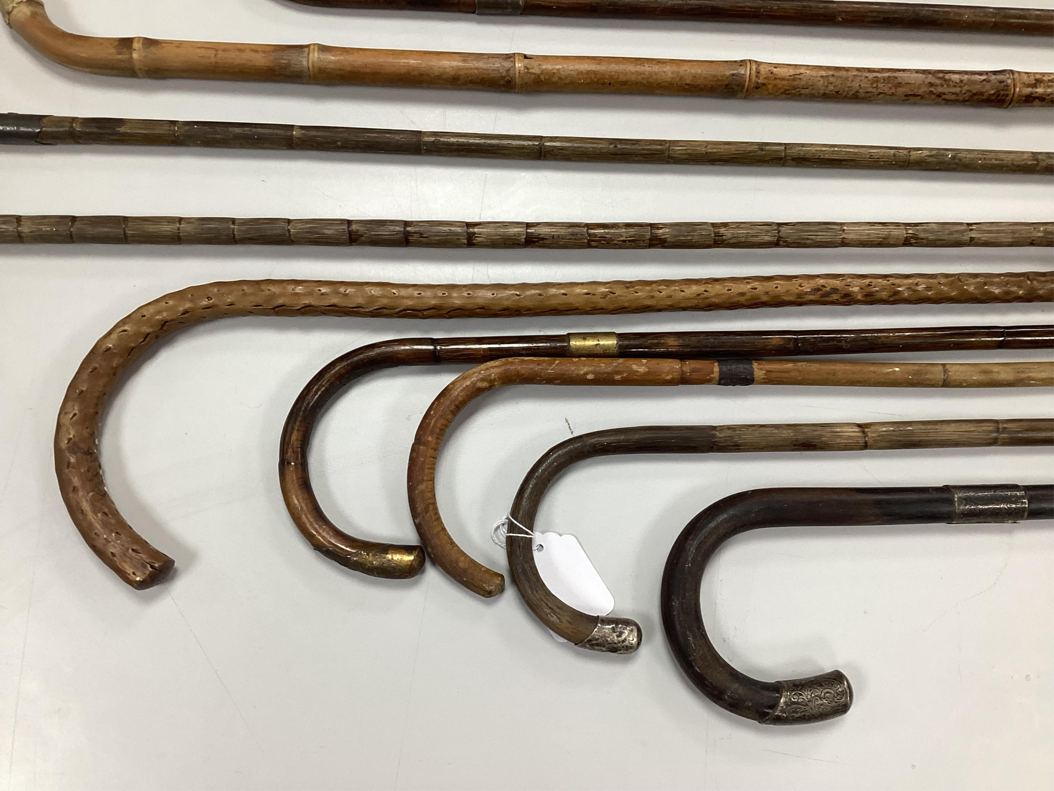 A collection of ten carved walking sticks, some silver mounted